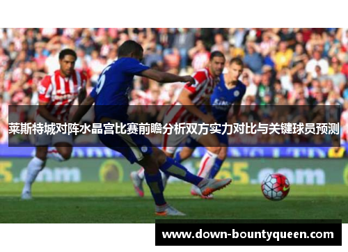 莱斯特城对阵水晶宫比赛前瞻分析双方实力对比与关键球员预测 莱斯特城对阵水晶宫比赛前瞻分析双方实力对比与关键球员预测