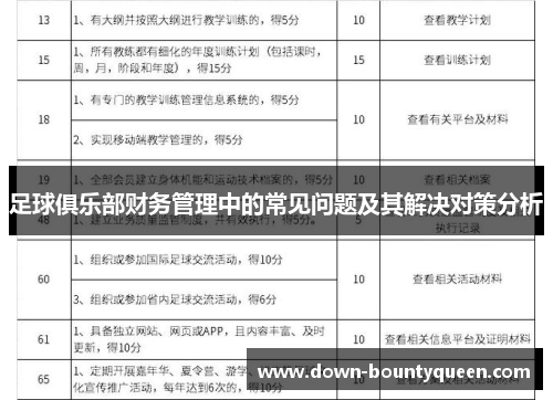 足球俱乐部财务管理中的常见问题及其解决对策分析