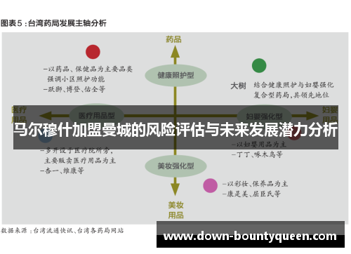 马尔穆什加盟曼城的风险评估与未来发展潜力分析