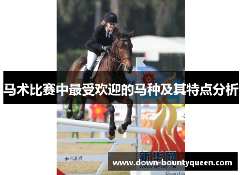 马术比赛中最受欢迎的马种及其特点分析