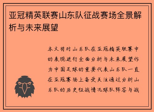 亚冠精英联赛山东队征战赛场全景解析与未来展望
